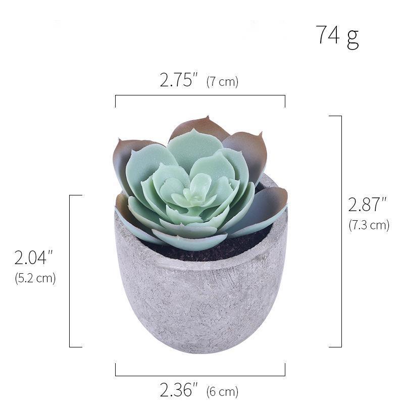Sets of 1/3 Mini Artificial Succulent Plants - Best Faux Plants