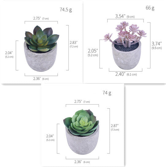 Sets of 1/3 Mini Artificial Succulent Plants - Best Faux Plants